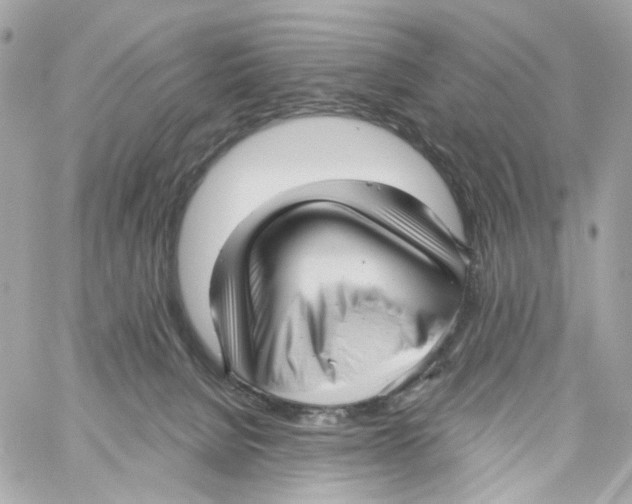 X0000059040080200511041647