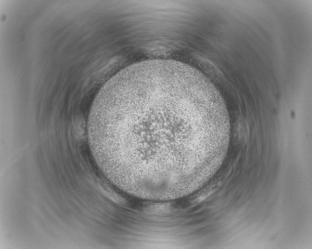 X0000059040081200511041647