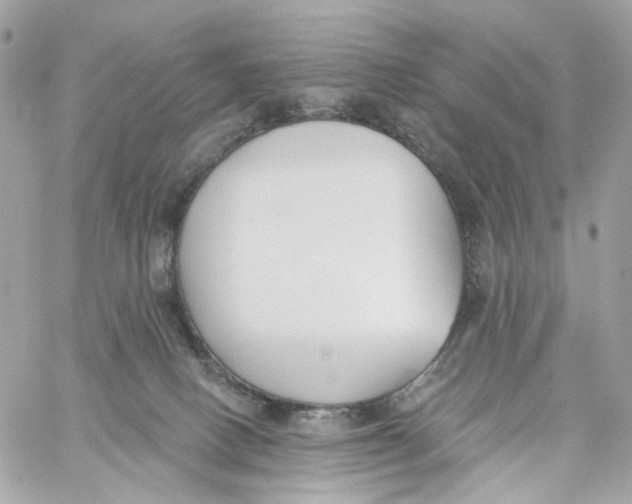 X0000059040082200511041647