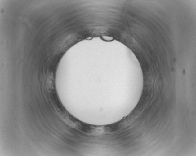 X0000059040083200511041647