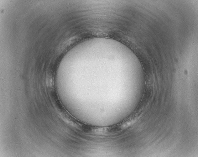 X0000059040084200511041647