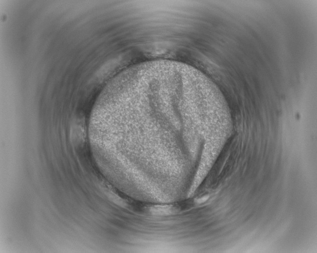 X0000059040085200511041648