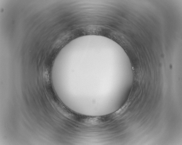 X0000059040086200511041648