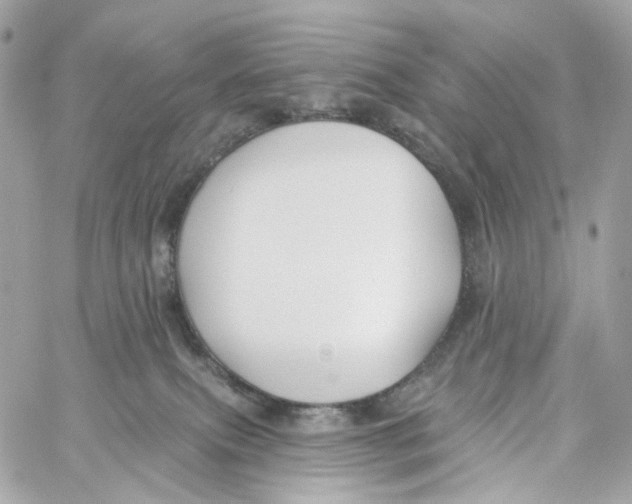 X0000059040087200511041648