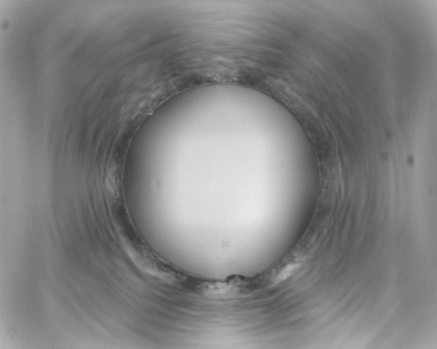 X0000059040088200511041648