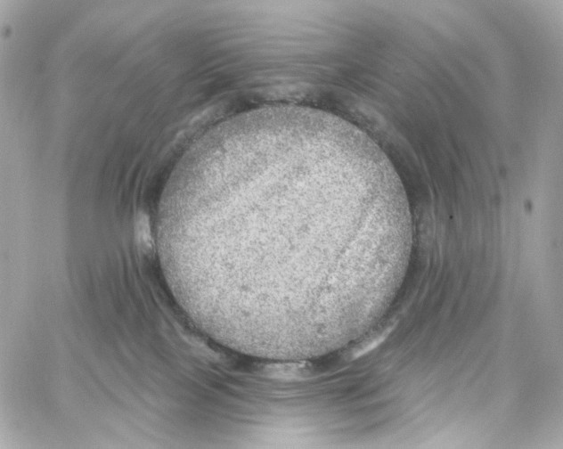 X0000059040089200511041648