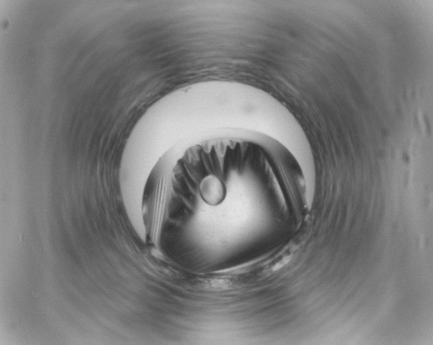 X0000059040091200511041648