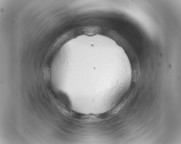 X0000059040093200511041648