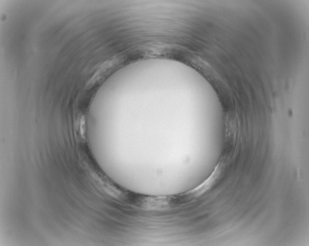 X0000059040094200511041648