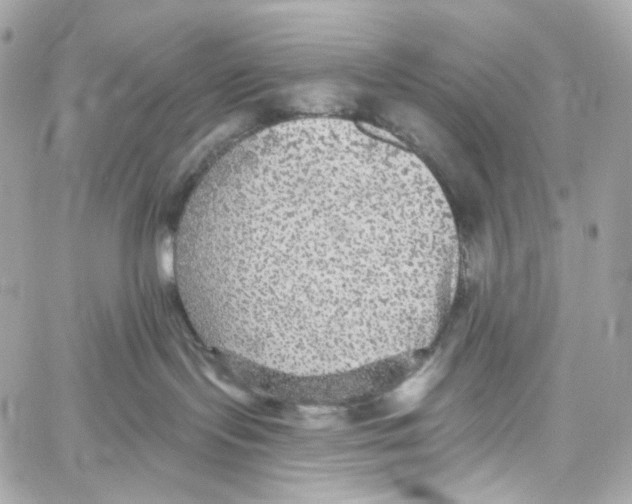 X0000059040095200511041648