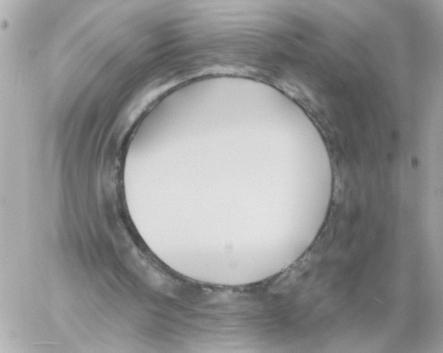 X0000059040098200511041647