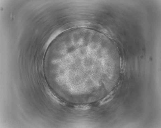 X0000059040099200511041647