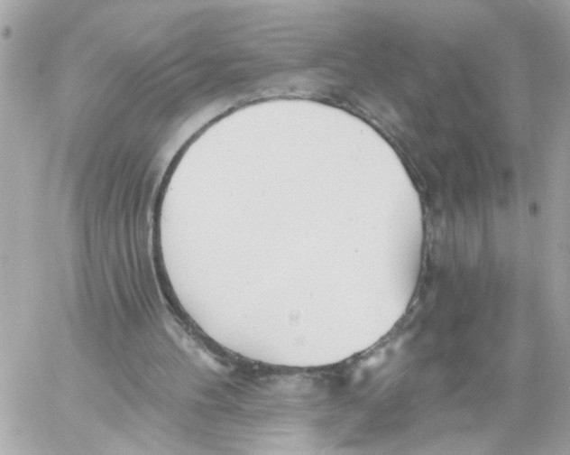 X0000059040100200511041647