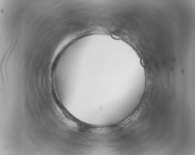 X0000059040102200511041647