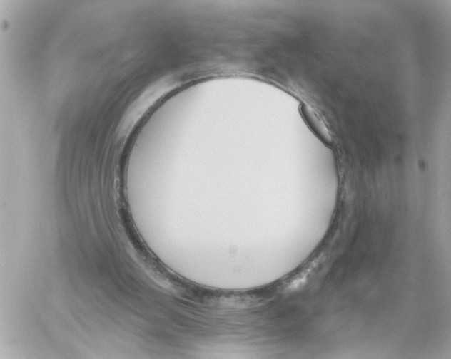 X0000059040103200511041647