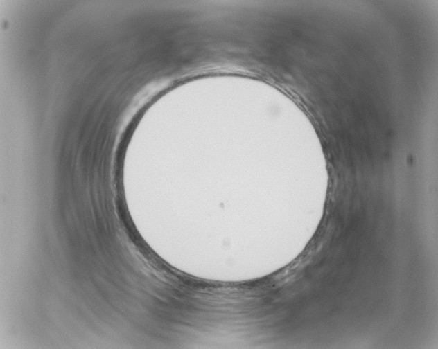 X0000059040104200511041647