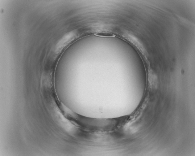 X0000059040105200511041647