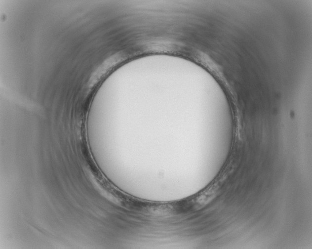 X0000059040106200511041647