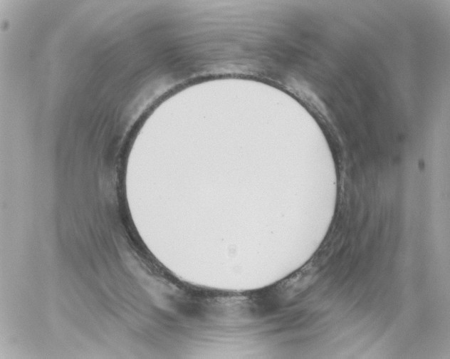 X0000059040108200511041647