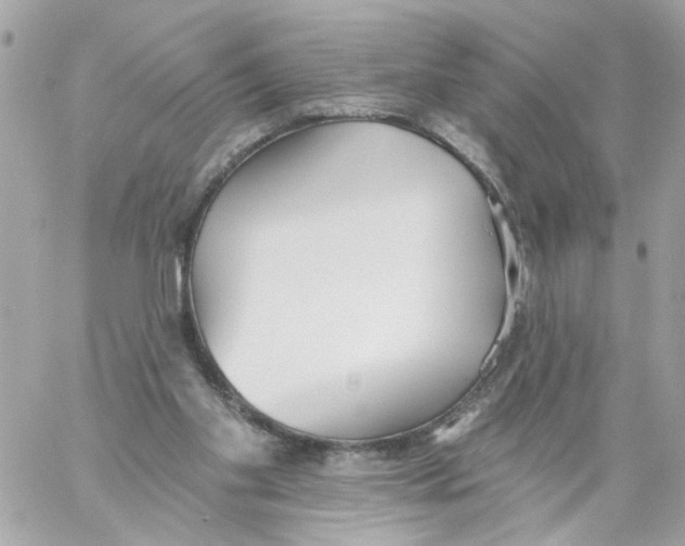 X0000059040109200511041647