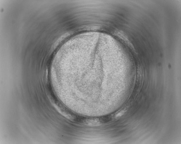 X0000059040110200511041647