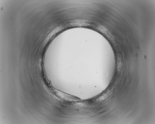 X0000059040111200511041647