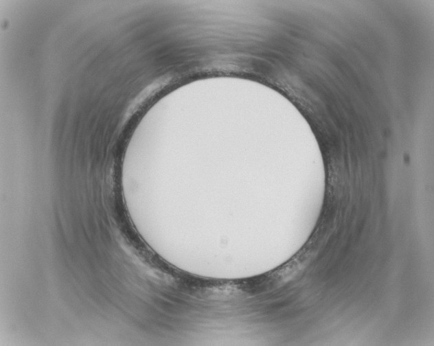 X0000059040112200511041647