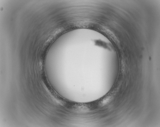 X0000059040113200511041647