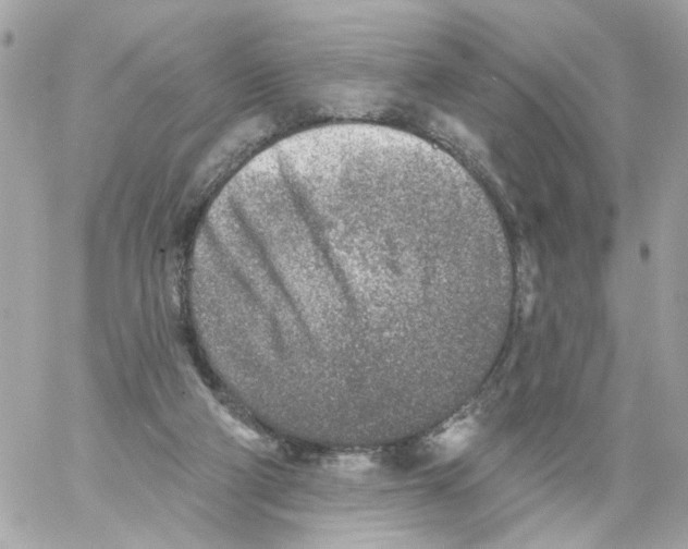 X0000059040114200511041647