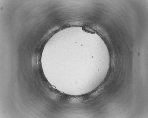 X0000059040115200511041647