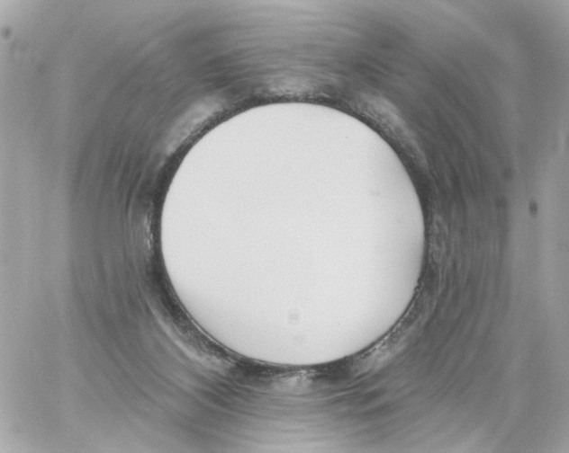 X0000059040116200511041647