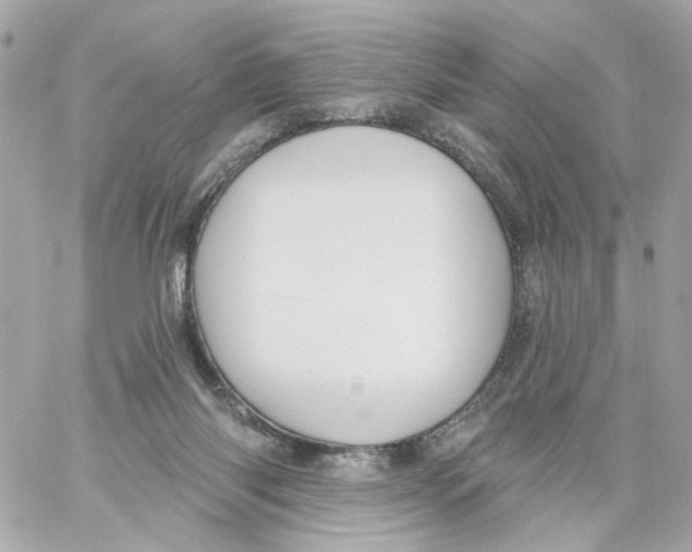 X0000059040118200511041647