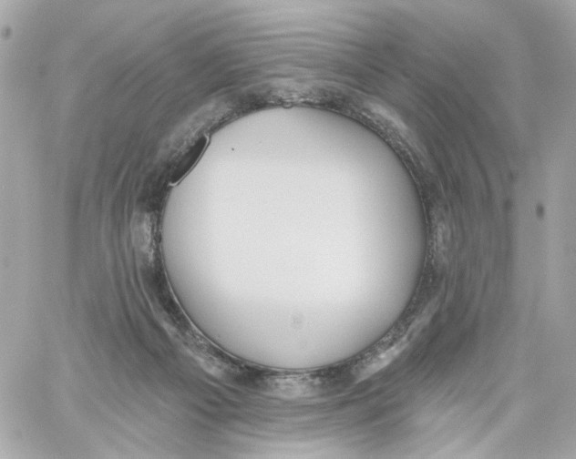 X0000059040121200511041646