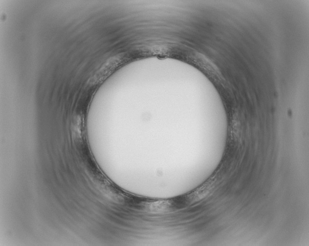 X0000059040122200511041646