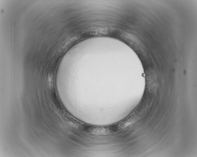 X0000059040123200511041646