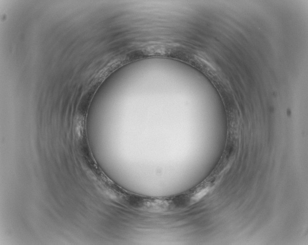 X0000059040125200511041646