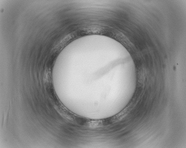 X0000059040126200511041646