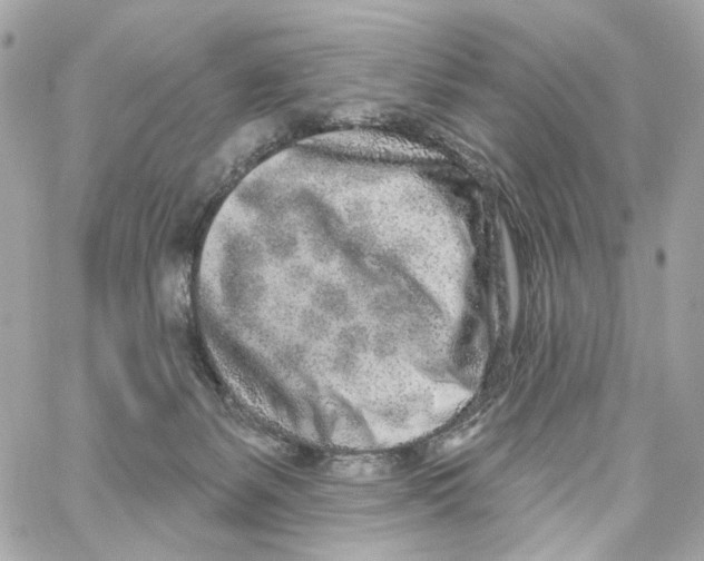 X0000059040127200511041646