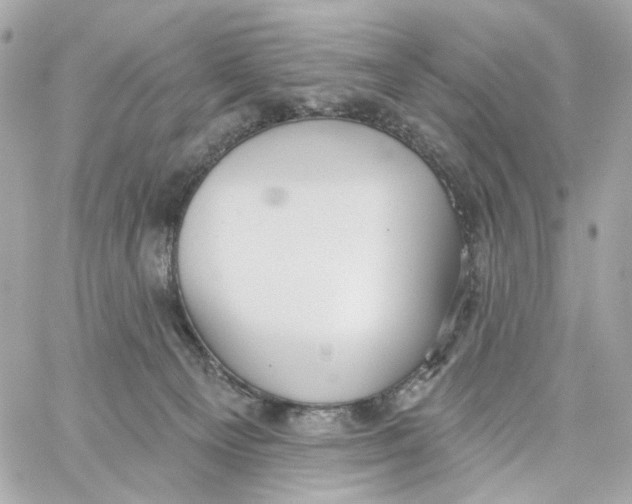 X0000059040129200511041646