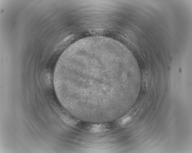 X0000059040130200511041646