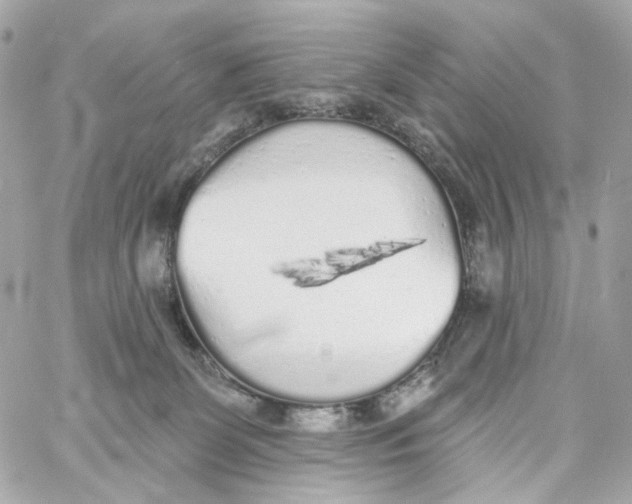 X0000059040131200511041646