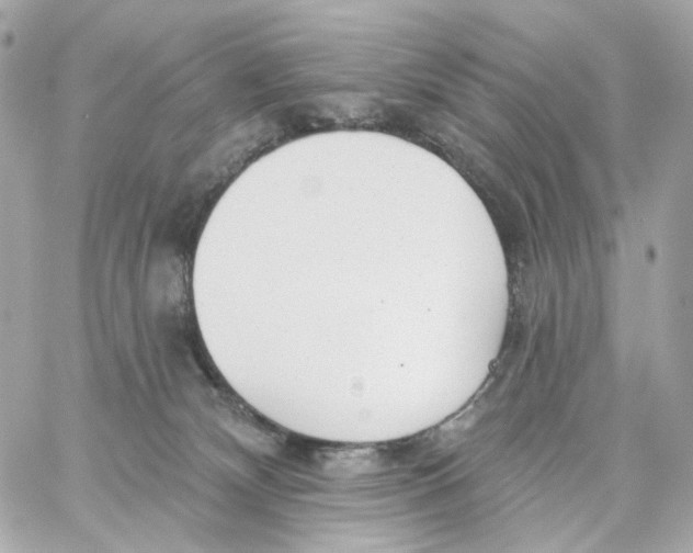 X0000059040132200511041646