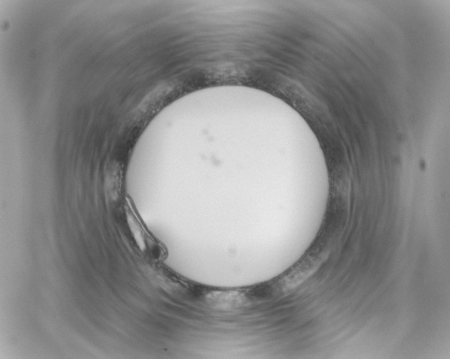 X0000059040133200511041646