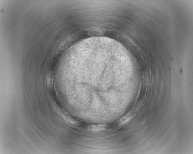 X0000059040134200511041646