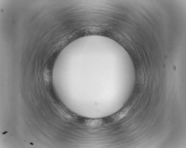 X0000059040135200511041646