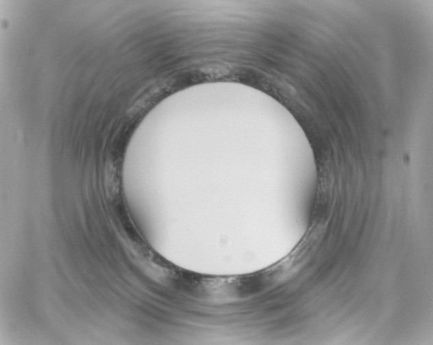 X0000059040136200511041646