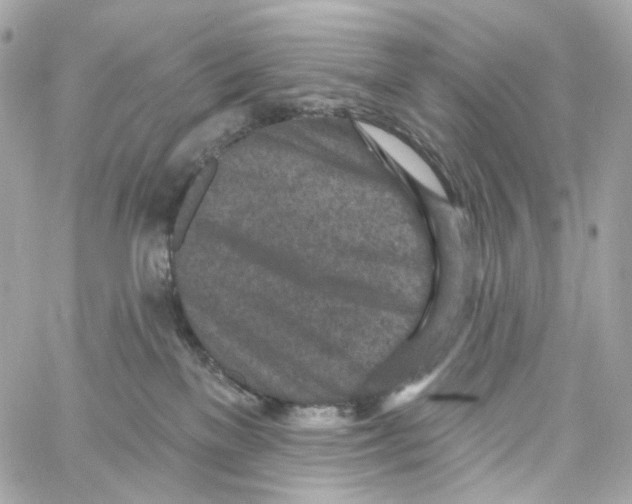 X0000059040137200511041646