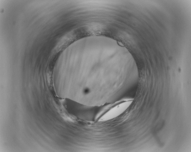 X0000059040139200511041646