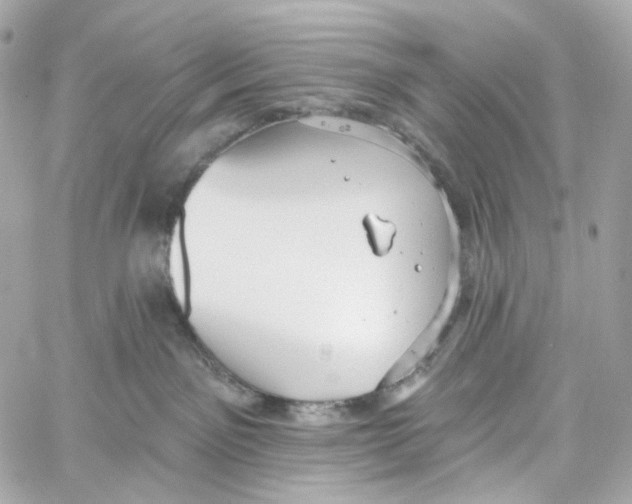 X0000059040141200511041646