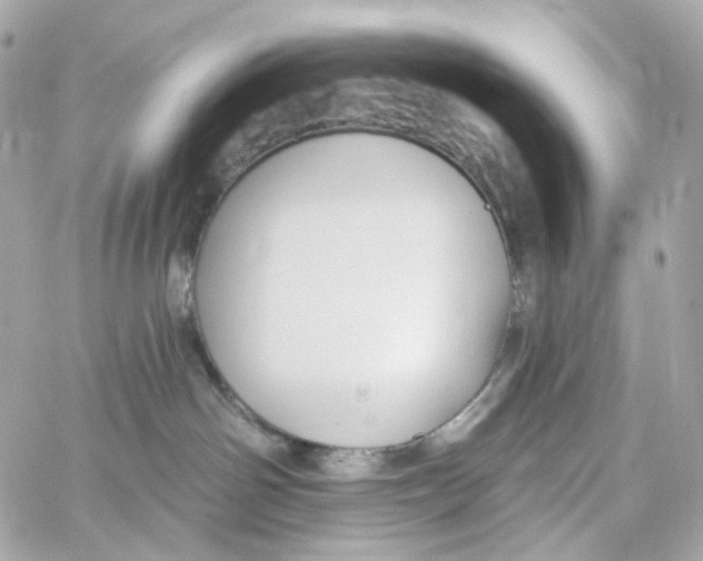 X0000059040142200511041646